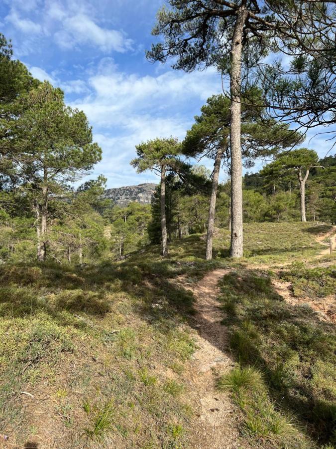 Duplex Rio Madera Leilighet Segura de la Sierra Eksteriør bilde
